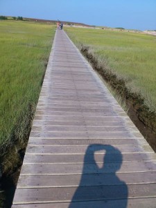 Fast jede der Planken diese Boardwalks in SAndwich auf Cape Cod ist mit Namen und "memories" beschriftet