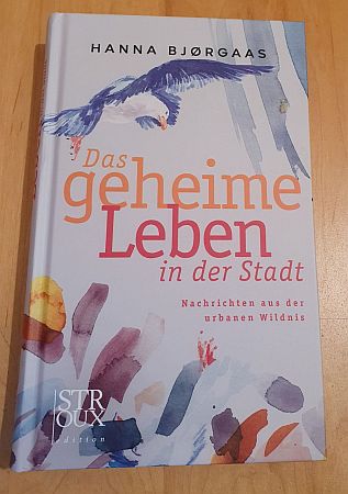 Buchcover des Buchs von Hanna Bjøgaas - zeigt den Titel in ornge udn roter Schrift, über ein Aquarell gelegt mit einer Möwe, die in der Luft schwebt. Unten dann farbige breite Pinselsstriche .